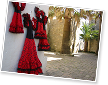 見せる、魅せられる芸へ