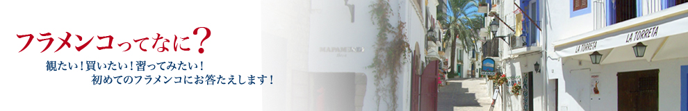 フラメンコってなに？