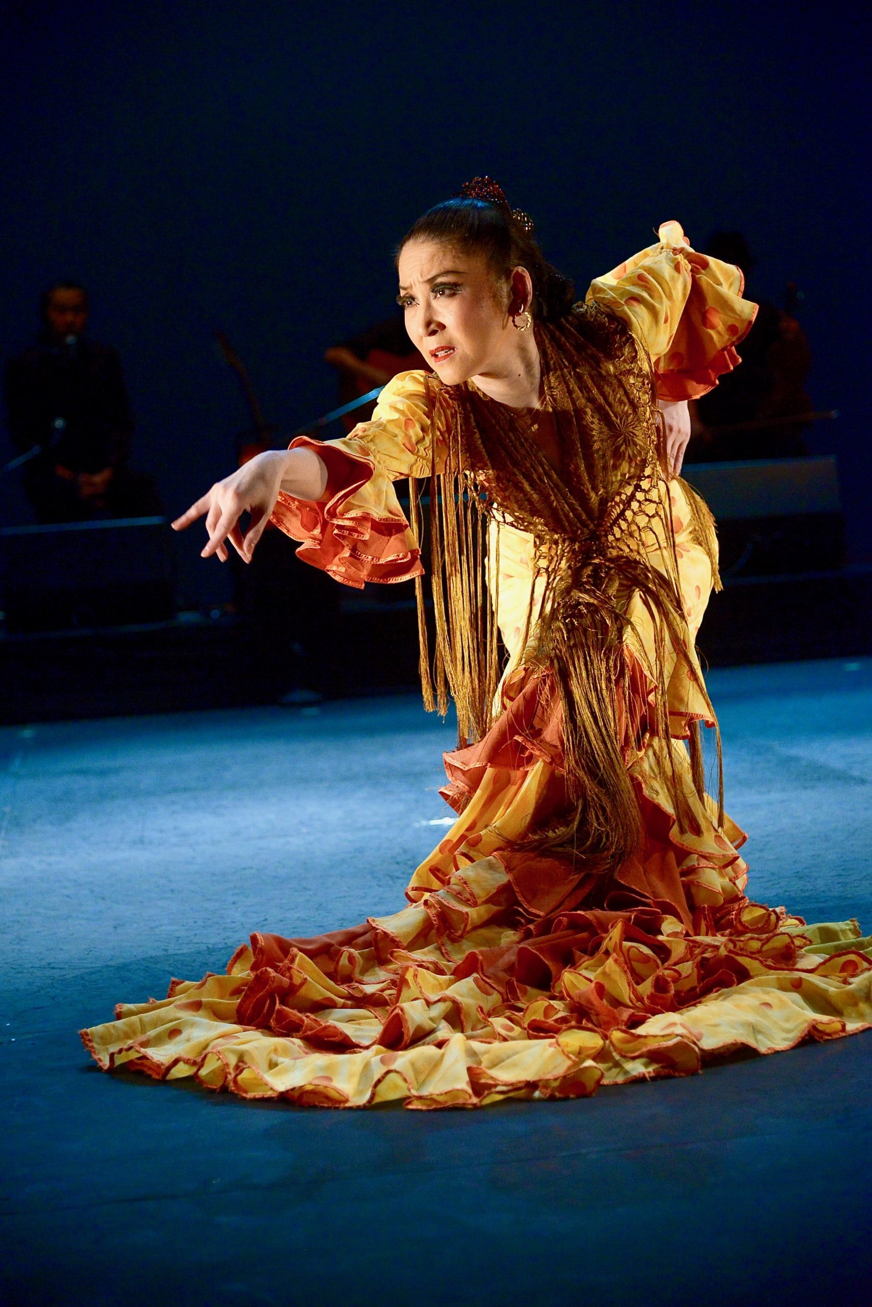 中尾真澄フラメンコ教室 ~SOL~